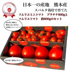 ソムリエトマト約800gとソムリエミニトマト　プラチナ800g