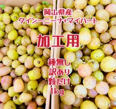 岡山県クインーニーナ+マイハート 1kg家庭用　加工用訳あり品 無農薬 種無し小粒粒だけ贅沢な甘さ