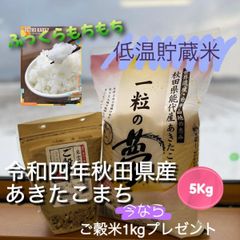 【低温貯蔵米】令和四年秋田県産あきたこまち5㎏　無洗米　おまけ付き♪