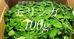 【希少】スーパーフード「生葉モリンガ」100g