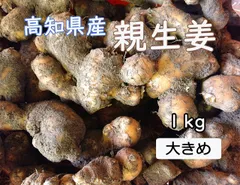 高知県産 親生姜 １キロのサムネイル