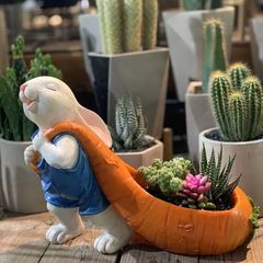 うさぎ 人参 プランター 多肉植物 寄せ植え 置物 - メルカリ