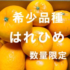 お得！香川県産 希少品種 みかん 「はれひめ」無選別 箱ごと 約5kg 数量限定