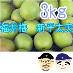 超特大 宮古島産摘果マンゴー 300g以上 - メルカリ