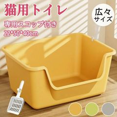 Item thumbnail for item 81b779c5-109f-4a7f-b4d1-9e005176ba9c