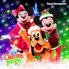 パンダ様 ディズニーランド❗️クリスマス ぬいぐるみセット