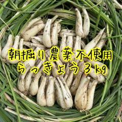 2025年最新】土付き らっきょうの人気アイテム - メルカリ