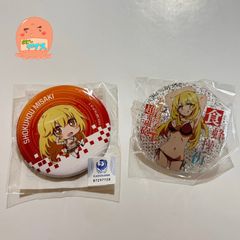 ゼルダの伝説 TEARS of KINGDOM 任天堂switch 特典缶バッジ2種セット