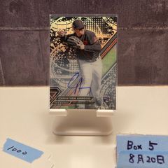 2016 BBM 2nd Version 大谷翔平 銀箔サイン 北海道日本ハム