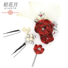 髪飾り 成人式 つまみ細工 赤 振袖 袴 4点セット 花 シルバー 灰色 白 ちりめん パール ビーズ リーフ ユニーク 個性的 小さい No.12-0505