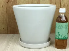 【新品】直径25cm 陶器鉢 MP 丸型 白 つや無 6リットル 受皿付 植木鉢 おしゃれ かわいい 室内 インテリア
