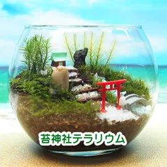苔神社【苔テラリウム・手作りキット一式】金魚鉢のサムネイル