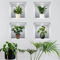 ★即日発送★WOHAHA ウォールステッカー 植物 植木鉢 観葉植物 緑 壁ウォールステッカー 壁紙シール はがせる おしゃれ 北欧 壁に貼るステッカー リビング ベッドルーム ウォールすてっかー 壁飾り wall sticker decor 生活防水 剥がせ