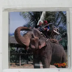 楽譜　タブ譜　遠藤ミチロウ　ベトナム伝説　 バンドスコア Amazon.co.jp: 遠藤ミチロウ ベトナム伝説 タブ譜/バンドスコア