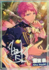 2026年最新】虹色開花 宗の人気アイテム - メルカリ