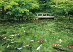 【数量限定】やのまん(Yanoman) 【日本製】500ピース ジグソーパズル 日本の風景 踊る色彩モネの池 (岐阜県) (38x53cm) 05-1021 ピース請求ハガキ のり付き へら付き サービスカード付 ジグソーパズルのトリセツ付