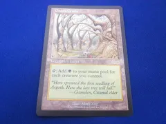 再度値下げ☆ MTG ガイアの揺籃の地