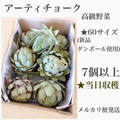 当日収穫　アーティチョーク　高級野菜　7個以上　60サイズでメルカリ便発送！