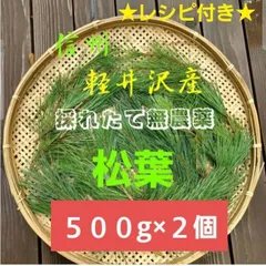 採れたて新鮮♪︎信州軽井沢産 天然無農薬 赤松松葉 500g【２個セット】 松の葉 野菜 松葉茶松ジュースに レシピ付き♪︎