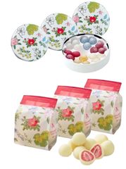 六花亭 ストロベリーチョコ ホワイト(60g×3袋) 六花のつゆミニ缶（18粒×3缶） 帯広 北海道【 常温便】