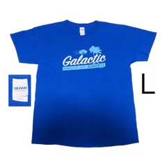 古着　GILDANギルダンTシャツ 半袖Ｌ　 Ｈ⭐︎   SWS0249