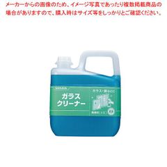 N(7689) エコラボ エコサンプラス 食品添加物合成殺菌料 業務用 5 