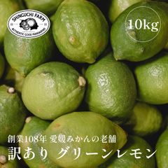 愛媛県産 訳あり グリーン レモン 10kg【防腐剤・ワックス不使用】【送料無料】農家直送 創業108年 愛媛みかん の老舗 新口農園
