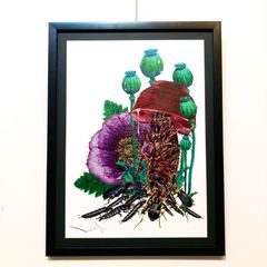 原画】77.『カブと、蕪と兜 被っとるカブト』 - メルカリ