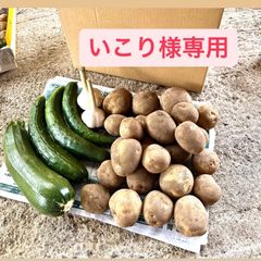いこり様専用ページです
