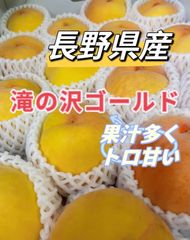 長野県産　滝の沢ゴールド　マンゴーピーチ　黄金桃　桃　黄桃