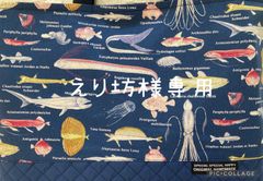 えり坊様専用　深海魚　レッスンバッグ＋上靴入れ