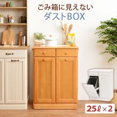 ダストボックス 完成品 ゴミ箱 ごみ箱 おしゃれ 分別 キッチン キッチン収納 キッチンカウンター キッチン家具 キッチン用品 幅59 奥行38 高さ81