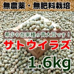 希少 在来種 青大豆 無農薬無肥料栽培 サトウイラズ1.6kg