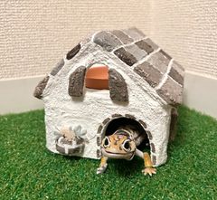 爬虫類　シェルター　ブラウン