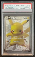 ピカチュウ: プロモ[BW-P 229/BW-P] ピカチュウ (BWプロモカード 229) — Poképédia