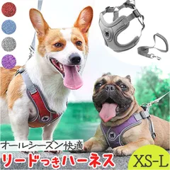 ☆ XSサイズ ☆ 犬 ハーネス リード付き ハーネスリード 犬 ハーネス リード付き ハーネスリードセット ハーネス＆リード 胴輪 首輪 リードセット 犬具 簡単装着 一体型 犬用 猫用 ペット 小型犬 いぬ イヌ シンプル お散歩 散歩 お出かけ おでかけ