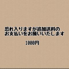 追加送料『1000円』