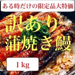 頑固おやじのこだわりうなぎ 特大4尾 愛知県産 - メルカリ