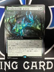 オゾリス 拡張アートfoil 4枚セット 2025年最新】オゾリスの人気アイテム - メルカリ