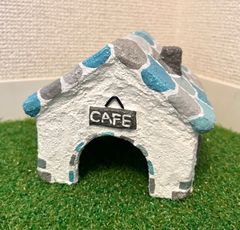 爬虫類　シェルター　ブルー