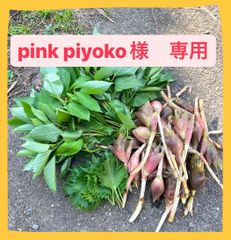 pink piyoko様専用ページ