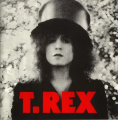 ★激レア T-REX インタビューピクチャーレコード EP ☆激レア T-REX インタビューピクチャーレコード EP レコード
