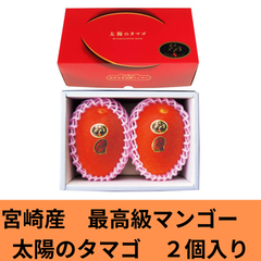宮崎産　最高級マンゴー　２個入り　ご贈答用箱入り　プレゼント
