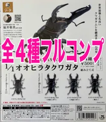 2025年最新】パラワンオオヒラタの人気アイテム - メルカリ