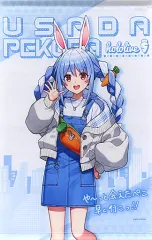 2026年最新】兎田ぺこら タペストリーの人気アイテム - メルカリ