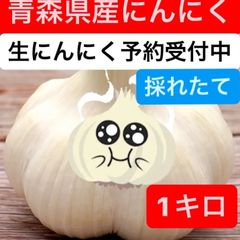 青森県産生にんにく　期間限定販売1キロ　6月中旬頃発送