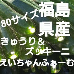 福島県産!朝採れきゅうり＆ズッキーニ!80サイズ