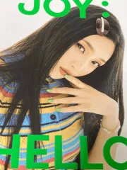 RedVelvet　トレカ・グッズ１６点まとめ売り Amazon.co.jp: Red Velvet レドベル アイリーン スルギ トレカ