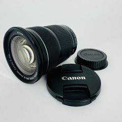 ■極上品■ SONY EF24-105mm F3.5-.5.6 IS STM