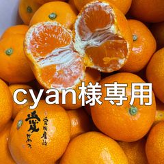 cyan様専用　　愛媛産温室ハウスみかん　赤秀（贈答）5kg